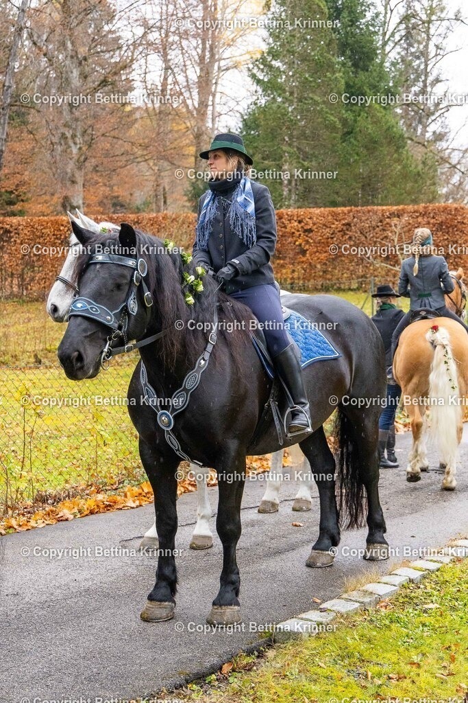 LL25-135 | foto-bettina-krinner - Realisiert mit Pictrs.com