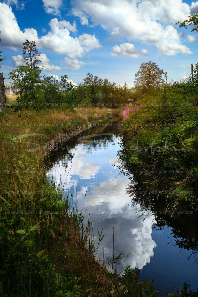 Wandbild "Spiegelung" Harz | People- und Tierfotografie, Imageaufnahmen, Veranstaltungsfotografie und Wandbilder aus der Natur ★ Made in Germany ✔️ Druck + Downloads ✔️ Naturfotografie in Top Qualität ★ schneller Versand, weltweite Lieferung! - Realisiert mit Pictrs.com