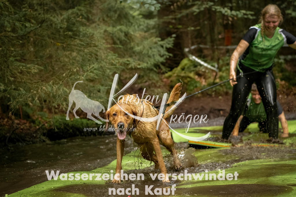 1227_ZZ94679-Bearbeitet | kk-dogfotos