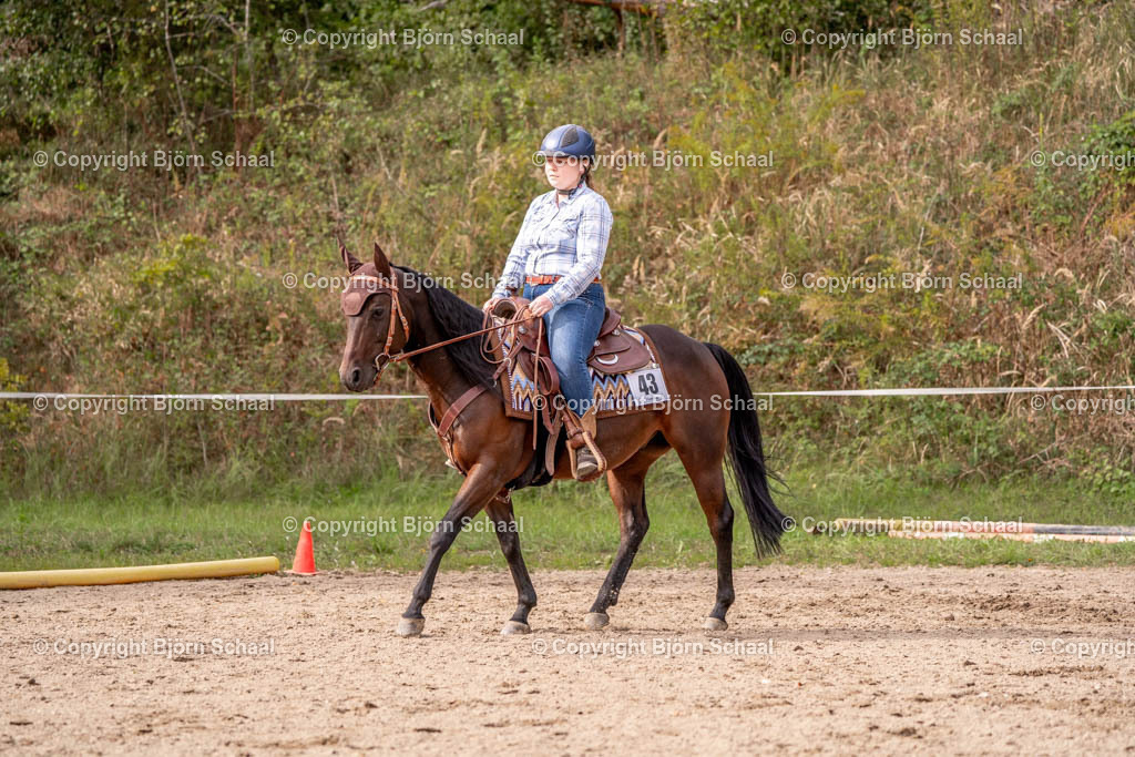 SAL03260 | BS-foto