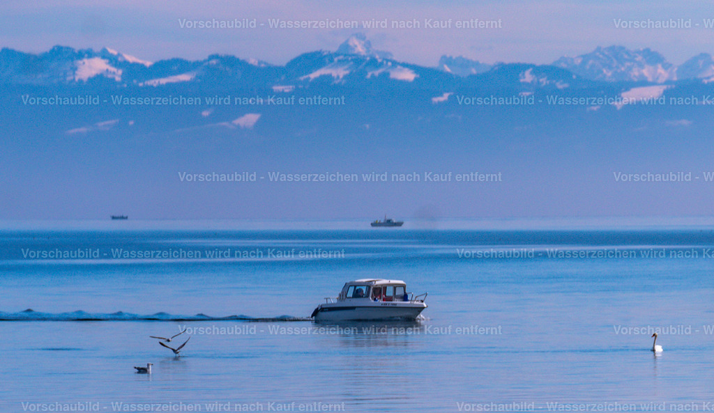 DSC00346-2 | marcuslinek