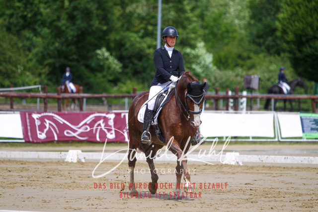 DKP40741 | Turniersportfotografie; Pferdefotografie; Dressurfotografie