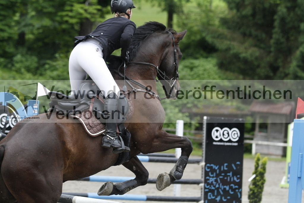_MG_7210 | equestrian-live-com