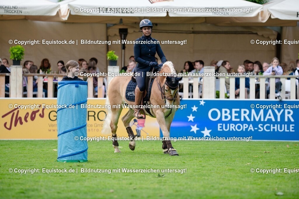 20250606_Lange-Pferdenacht_0304 | Foto: Thomas Hartig