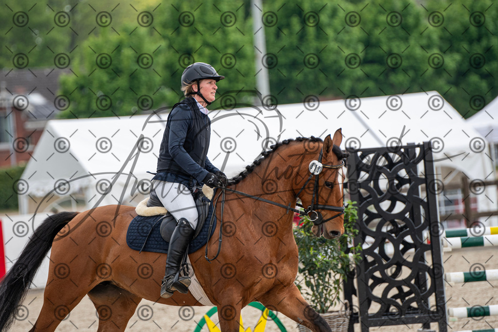 KPT_3600 | andre_photographic