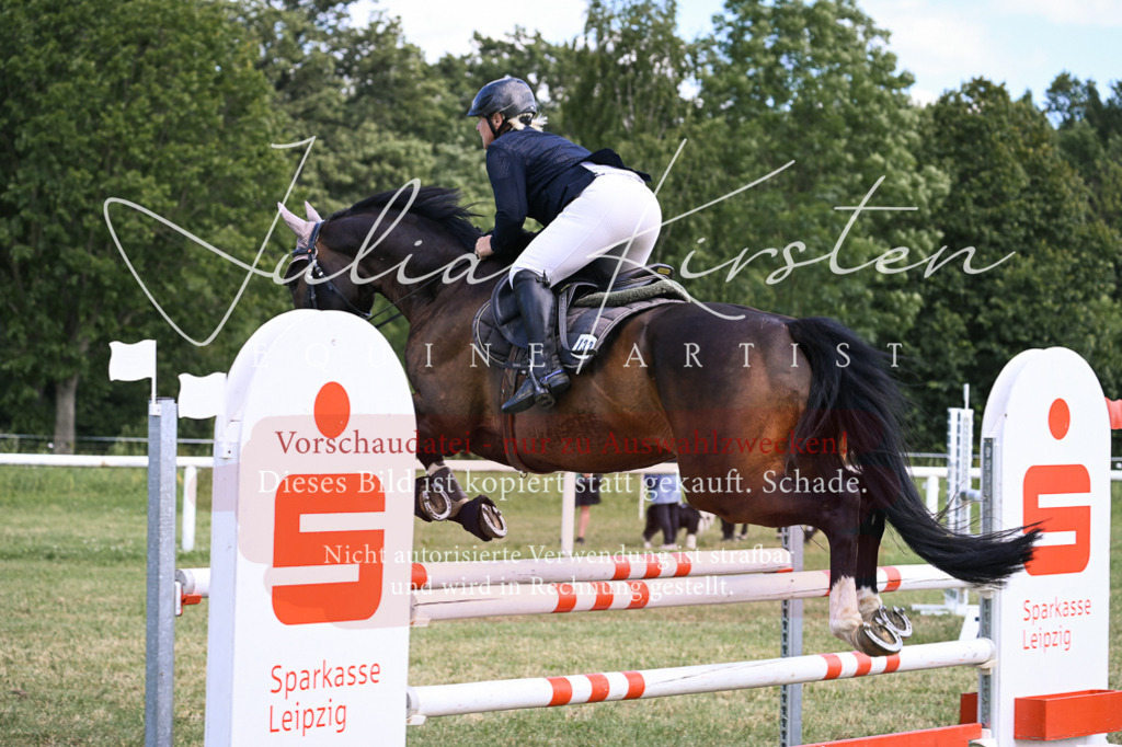 DSC_0559 | Pferde- und Turnierfotografie in Westsachsen. Pferdeportraits, Auftragszeichnungen und intuitive Kunst.