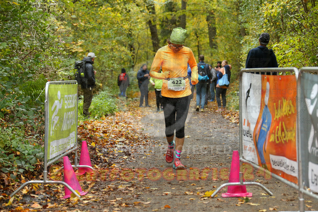 251026_1325_EX1_3402 | Sportfotografie im Rhein-Sieg Kreis, Köln, Bonn, NRW, Rheinland Pfalz, Hessen, etc. Unser Tätigkeitsfeld umfasst den Laufsport vom Volkslauf über den Marathon, Duathlon, Triathon bis zum Ultralauf wie Kölnpfad Ultra oder Schindertrail.