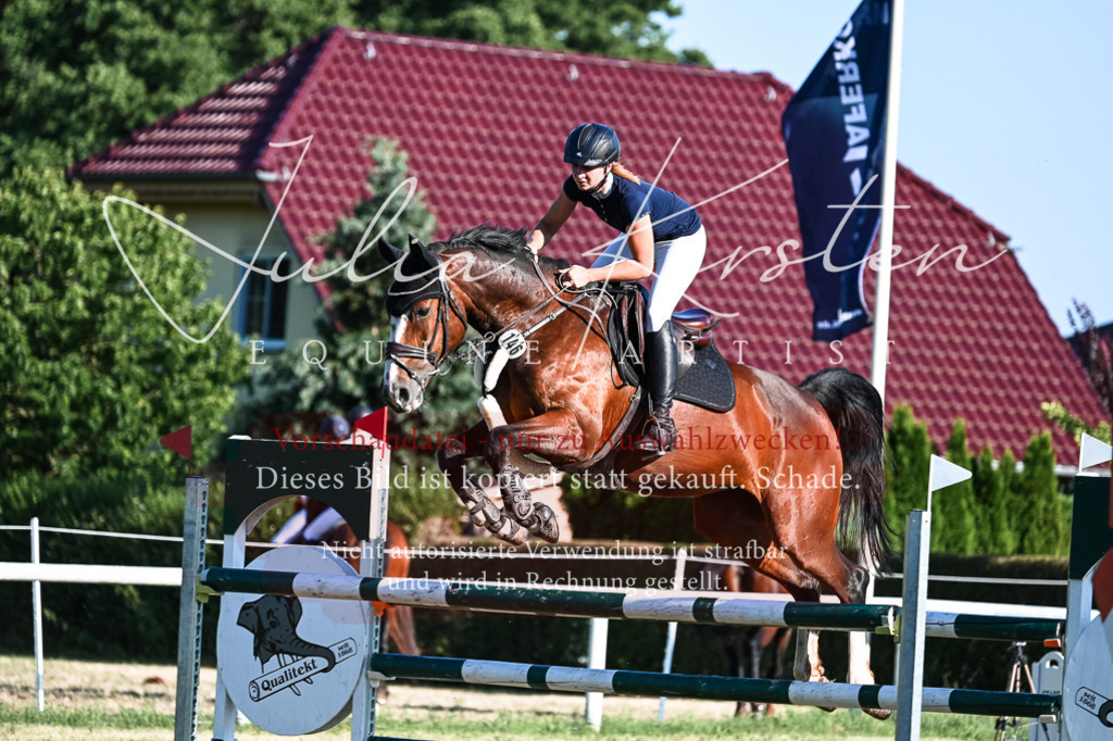 DSC_2873 | Pferde- und Turnierfotografie in Westsachsen. Pferdeportraits, Auftragszeichnungen und intuitive Kunst.