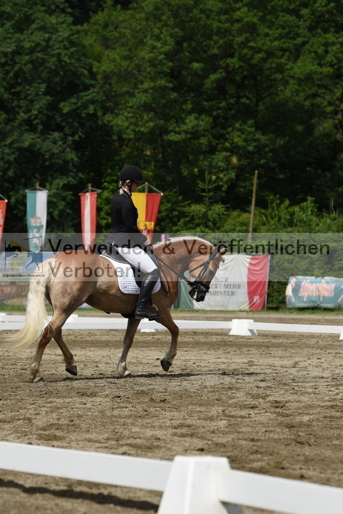 DSC_8522 | equestrian-live-com