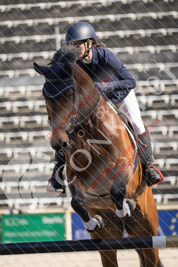 IMG_3687 | Sport-, Event- und Tierfotos in Profiqualität. Einfach auswählen, bestellen und herunterladen. Dein Moment – perfekt festgehalten.
