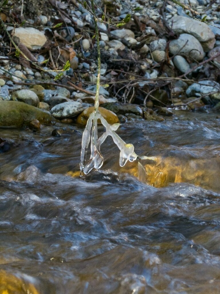 PSX_20230405_233540 | mtkfoto_ - Realisiert mit Pictrs.com