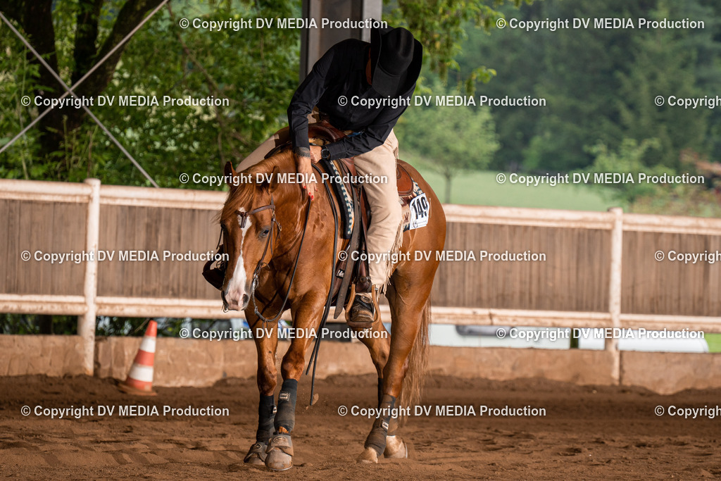 Erbach Tag 2-937 | dv-media-shop - Realisiert mit Pictrs.com