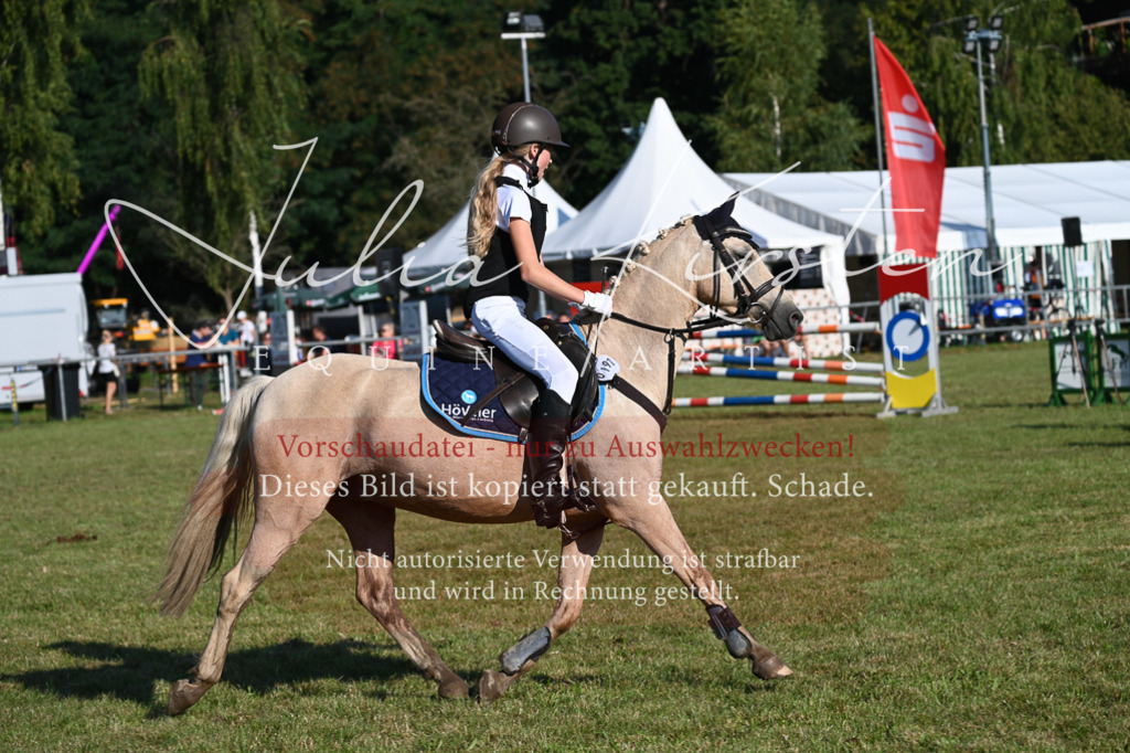 DSC_4907 | Pferde- und Turnierfotografie in Westsachsen. Pferdeportraits, Auftragszeichnungen und intuitive Kunst.