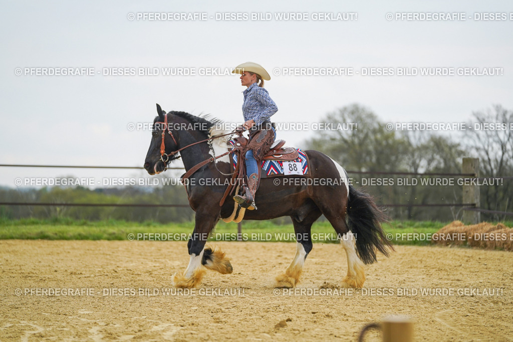 DSC08042 | Pferdegrafie