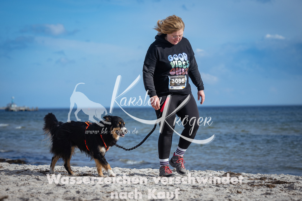 1336_ZZ92151 | kk-dogfotos