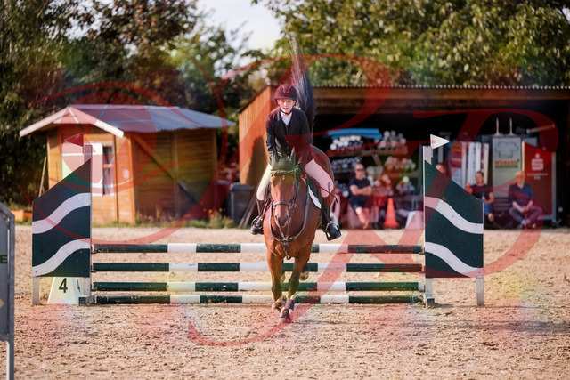 2026_10_03_Siefer-Hof_161037_Z81_90233089 | Professionelle Reitsport-, Turnier- und Eventfotografie von Robert Broda. Galerien mit ausgewählten und bearbeiteten Bildern direkt online ansehen und bestellen.