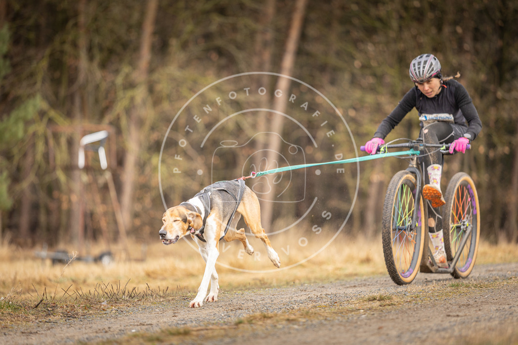 DV3A3368 | Hundefotografie, Tierfotograf, Pfotenfotografie, Fotoshooting Hund, Hunde Portrait, Hundesport, Hundeportraits, Heideshooting, Hunde, Sportfotograf, Hundefotograf, Turnierhundsport, THS,  - Realisiert mit Pictrs.com
