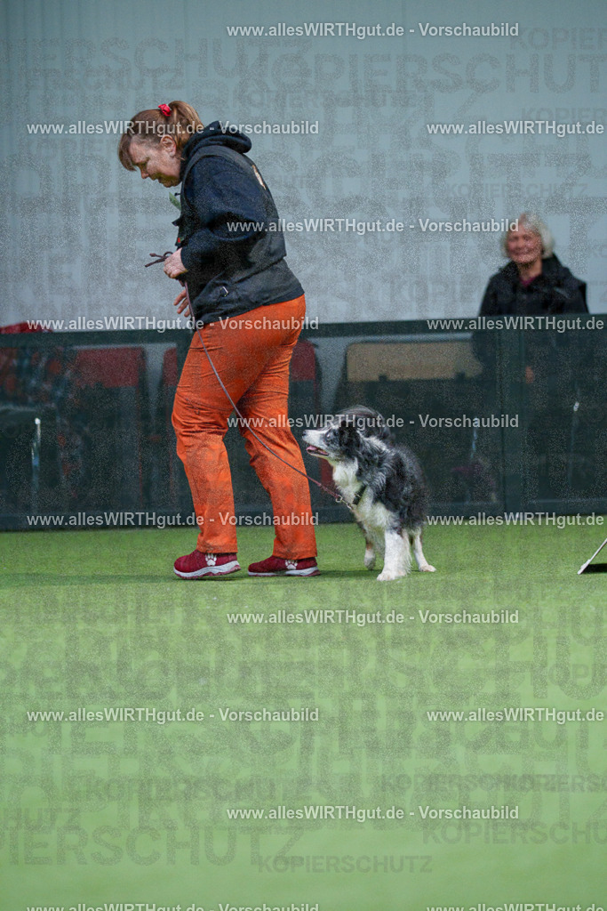 7R506420 | Professionelle Tierfotografie in Mönchengladbach von Daniel Wirth (allesWIRTHgut). Liebevolle & natürliche Bilder von Hunden & Katzen für unvergessliche Erinnerungen.