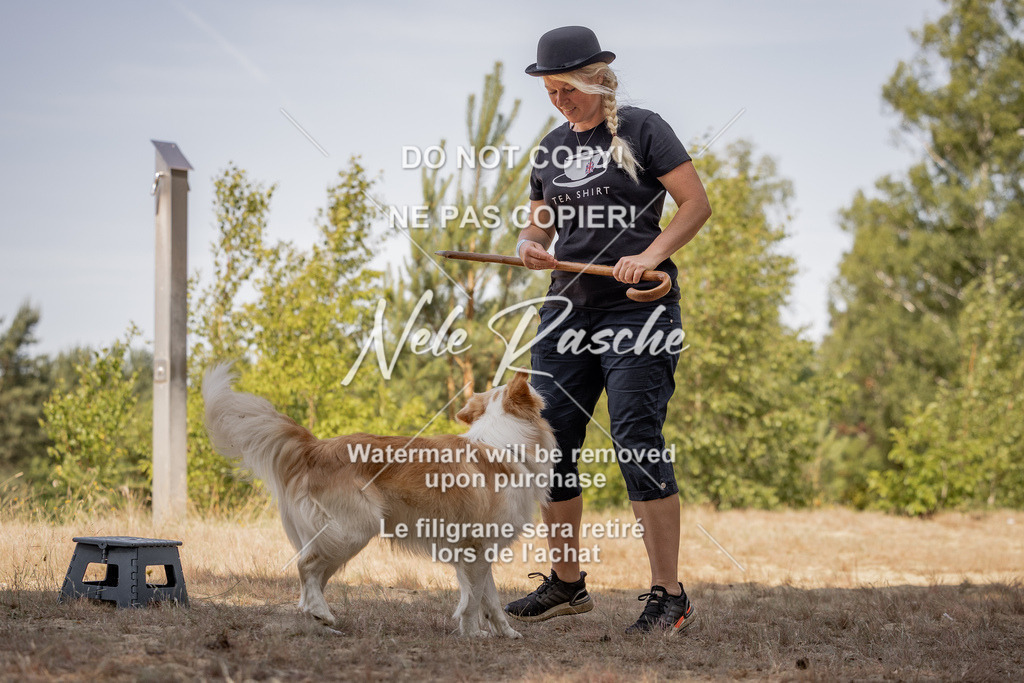 nelerasche_soDD2_135 | nelerasche