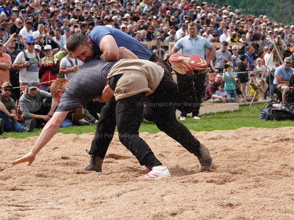 DSC07219 | Schwingen - Realisiert mit Pictrs.com
