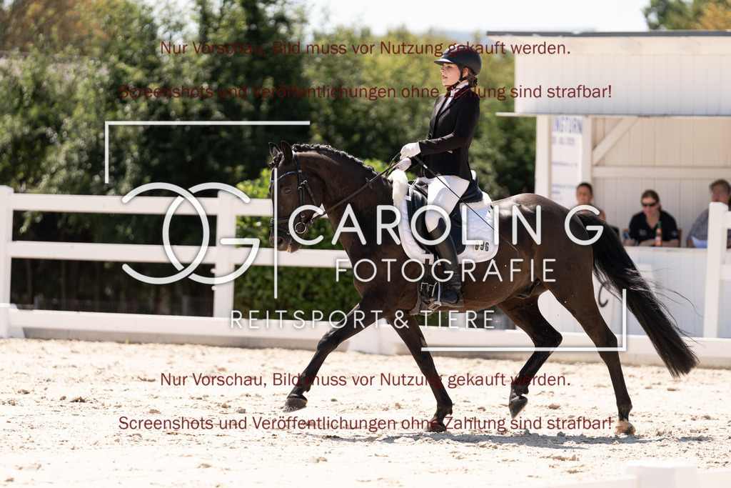 DSC05211 | Dressurturnier_Göppingen_2026, Jessica_Riana_Jung, Shooting_Star