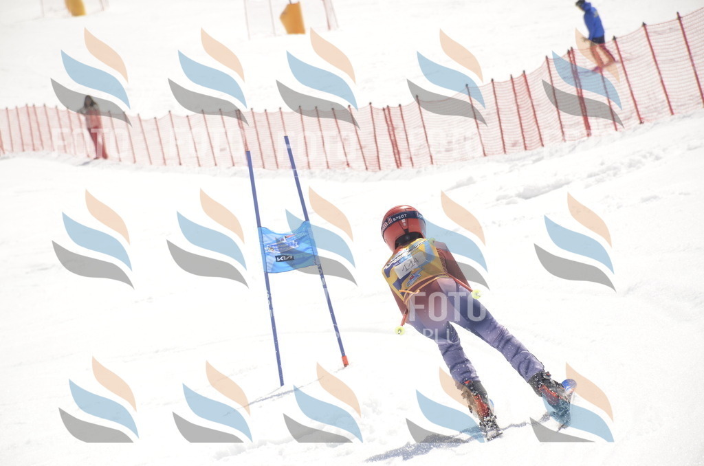 _ELE9512 | holidayphoto