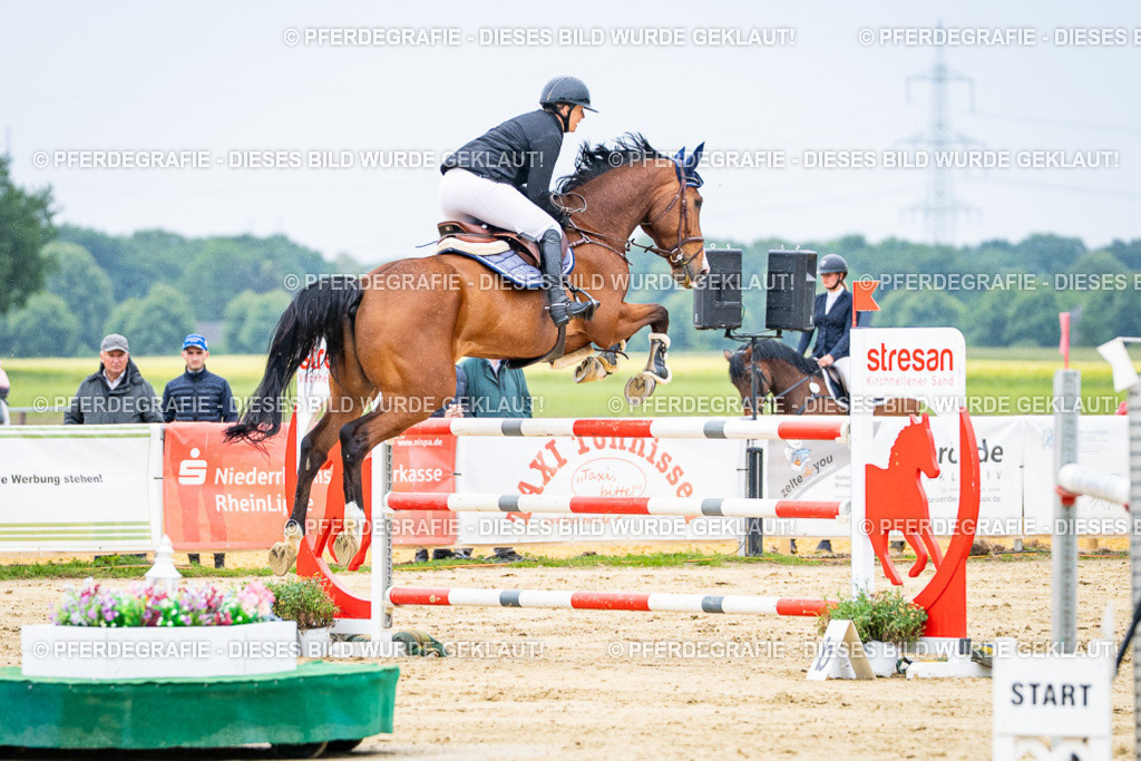 DSC07404 | Pferdegrafie