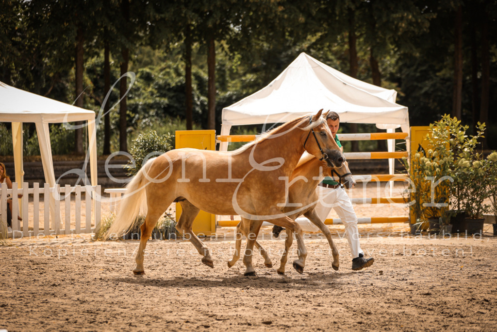 06.So00070 | Leoni Ertmer Photography - Realisiert mit Pictrs.com