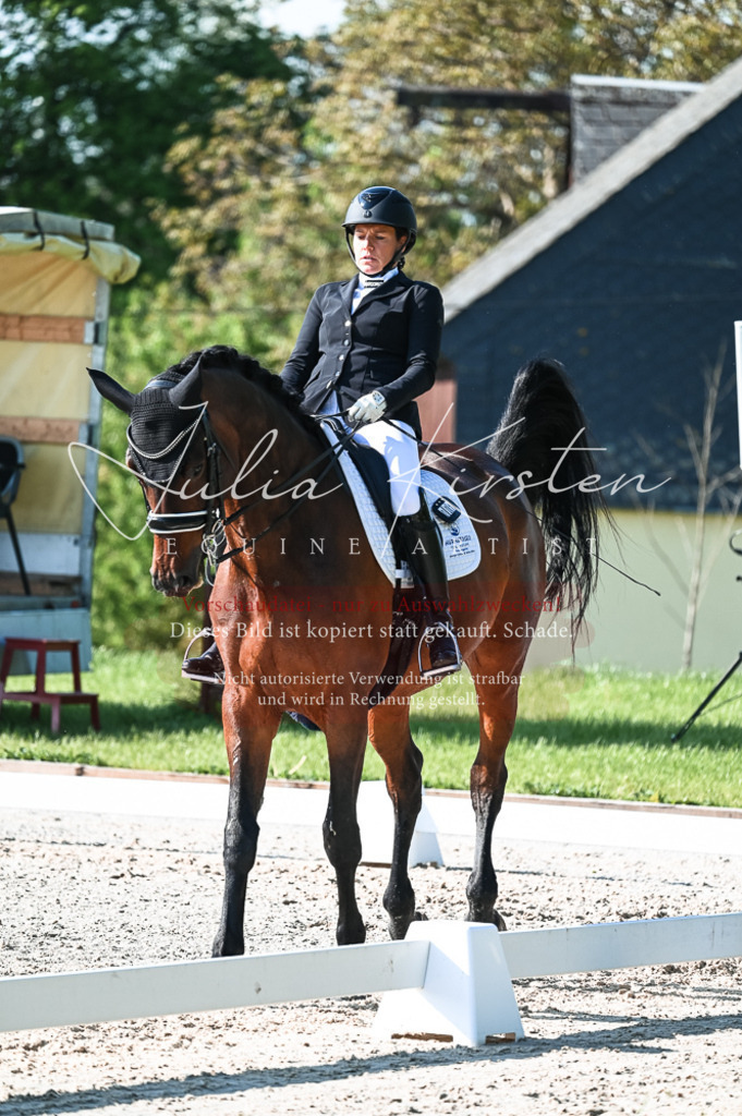 20230514_JK-Röhrsdorf-18-100 | Pferde- und Turnierfotografie in Westsachsen. Pferdeportraits, Auftragszeichnungen und intuitive Kunst.