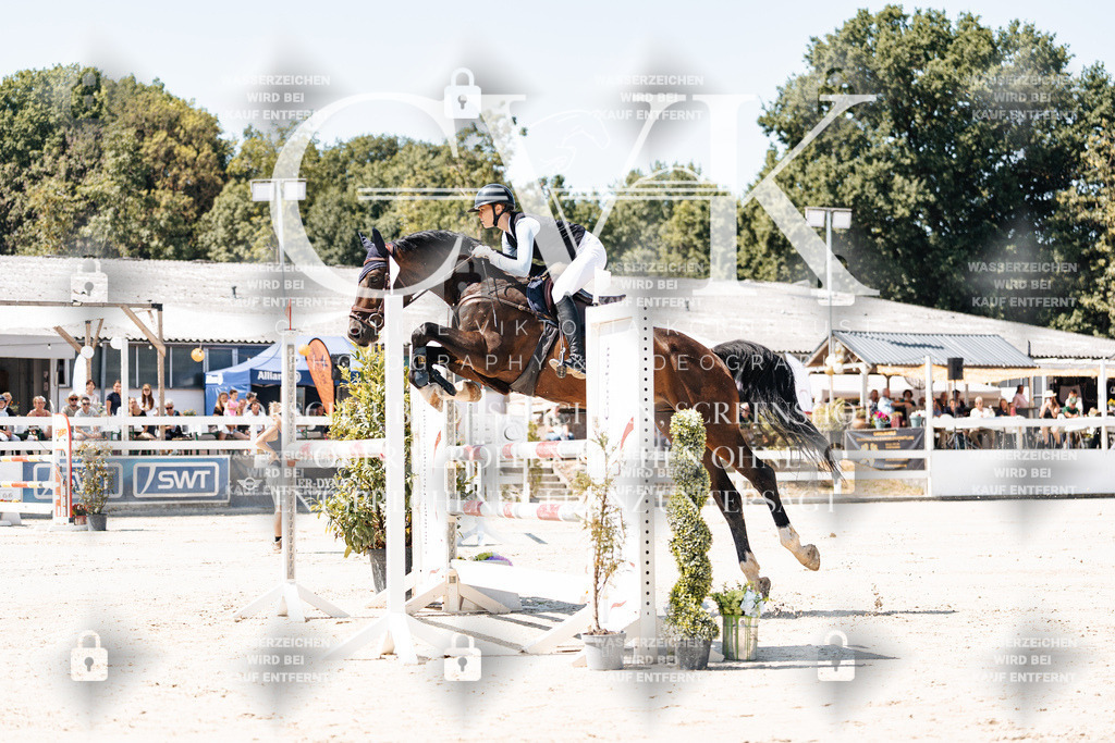 CK909463 | Turnierfotografie Pferdefotografie Trier Rheinland-Pfalz Pferdesport Reitsport Tierfotografie Sportfotografie Pferdevideo Pferdevideografie Equestrianvideography equestrianphotography  - Realisiert mit Pictrs.com