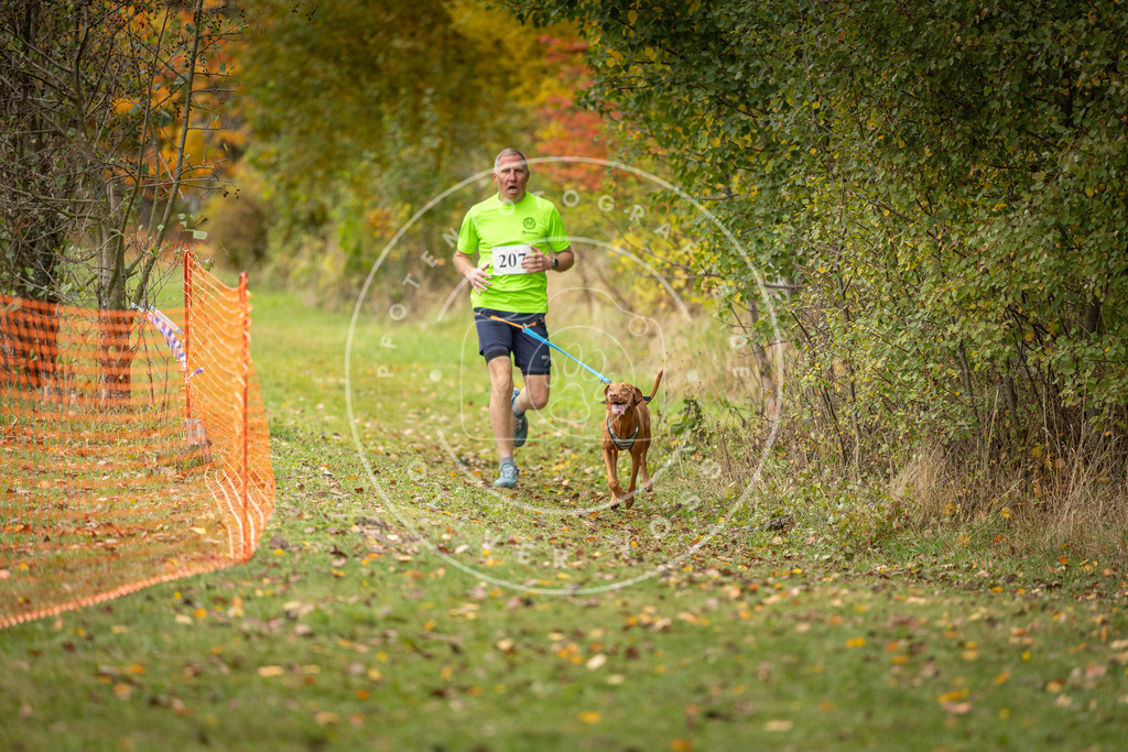 Pfotenfotografie_DV3A4013 | Hundefotografie, Tierfotograf, Pfotenfotografie, Fotoshooting Hund, Hunde Portrait, Hundesport, Hundeportraits, Heideshooting, Hunde, Sportfotograf, Hundefotograf, Turnierhundsport, THS,  - Realisiert mit Pictrs.com