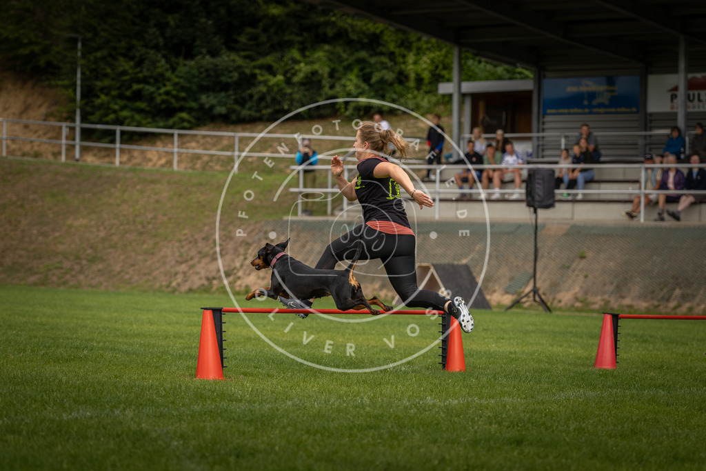 Pfotenfotografie_DV3A7650 | Hundefotografie, Tierfotograf, Pfotenfotografie, Fotoshooting Hund, Hunde Portrait, Hundesport, Hundeportraits, Heideshooting, Hunde, Sportfotograf, Hundefotograf, Turnierhundsport, THS,  - Realisiert mit Pictrs.com
