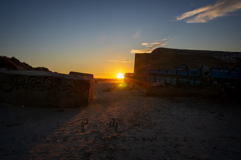 _Sommer2022-0842 | Photographies and more - Realisiert mit Pictrs.com