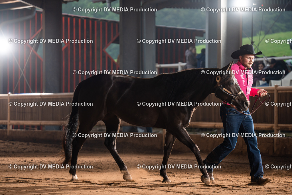 Erbach Tag 2-108 | dv-media-shop - Realisiert mit Pictrs.com