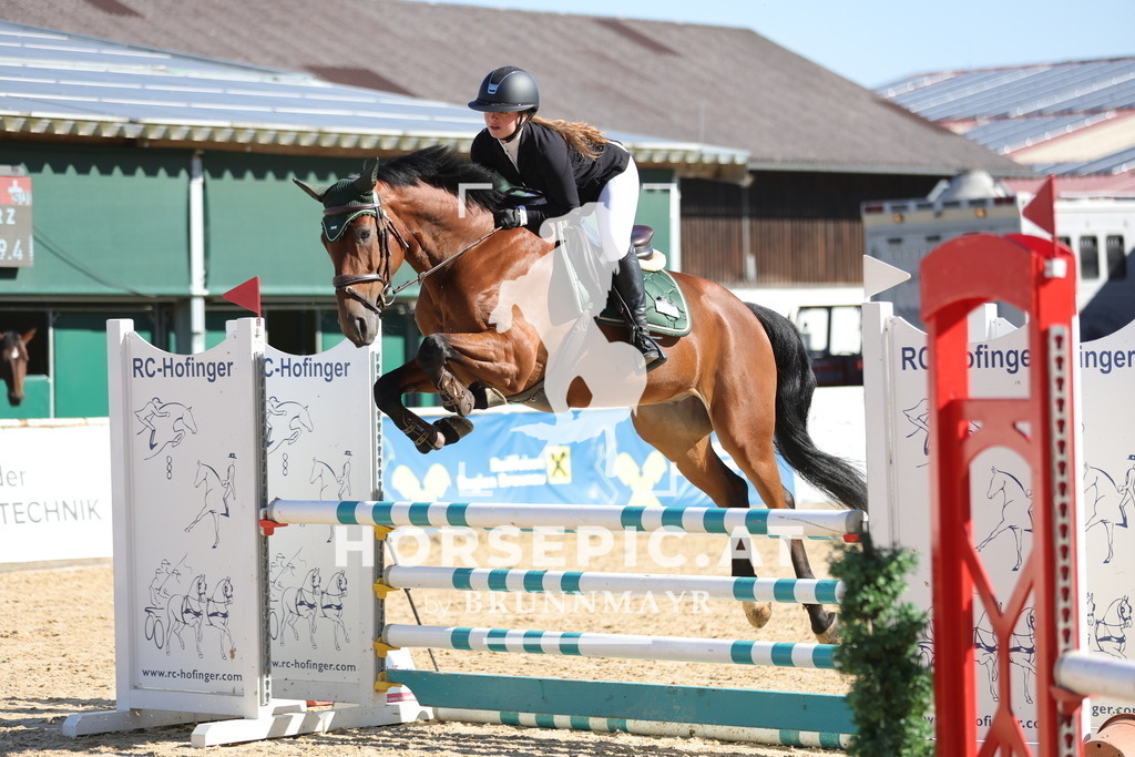 0P6A9665 | Willkommen bei Brunnmayr - Design & Fotografie – Ihrem Spezialisten für Reitturniere und Pferdeveranstaltungen in Oberösterreich, Salzburg und Bayern! Seit über 17 Jahren sind wir leidenschaftlich dabei.