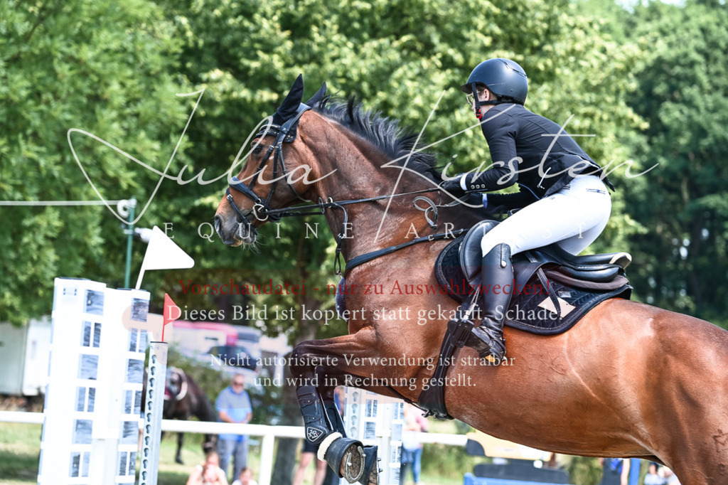 DSC_0046 | Pferde- und Turnierfotografie in Westsachsen. Pferdeportraits, Auftragszeichnungen und intuitive Kunst.