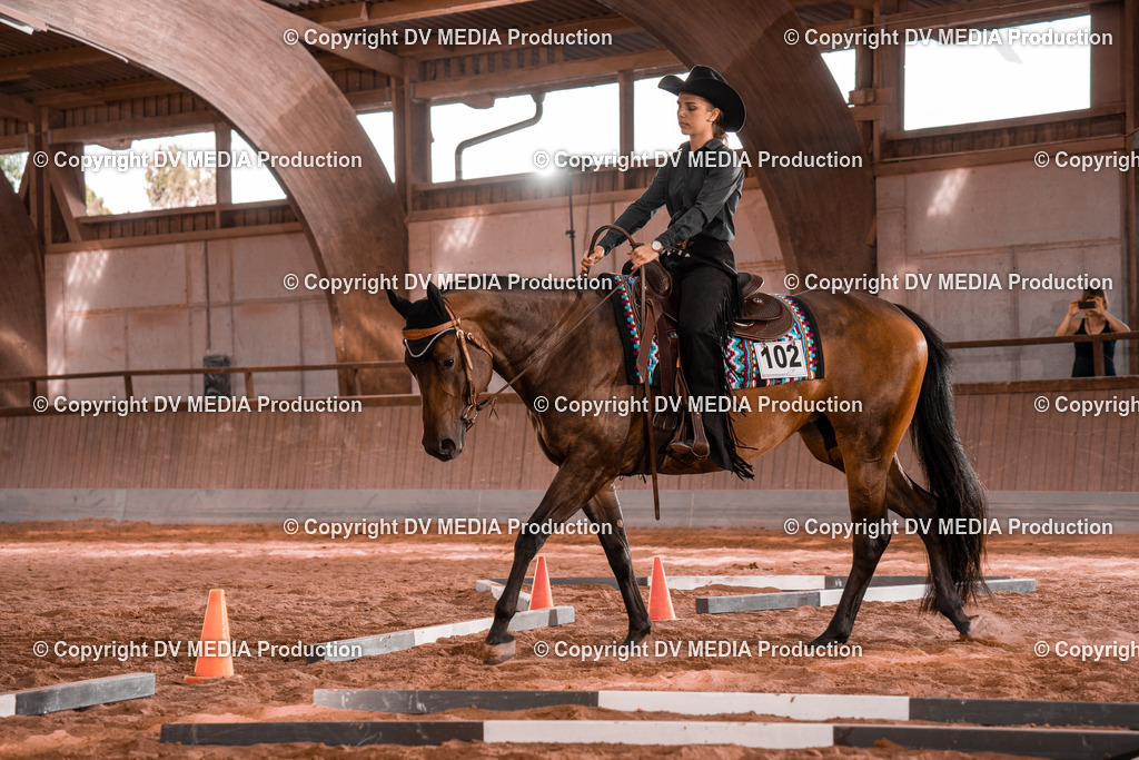 NE200230 | dv-media-shop - Realisiert mit Pictrs.com