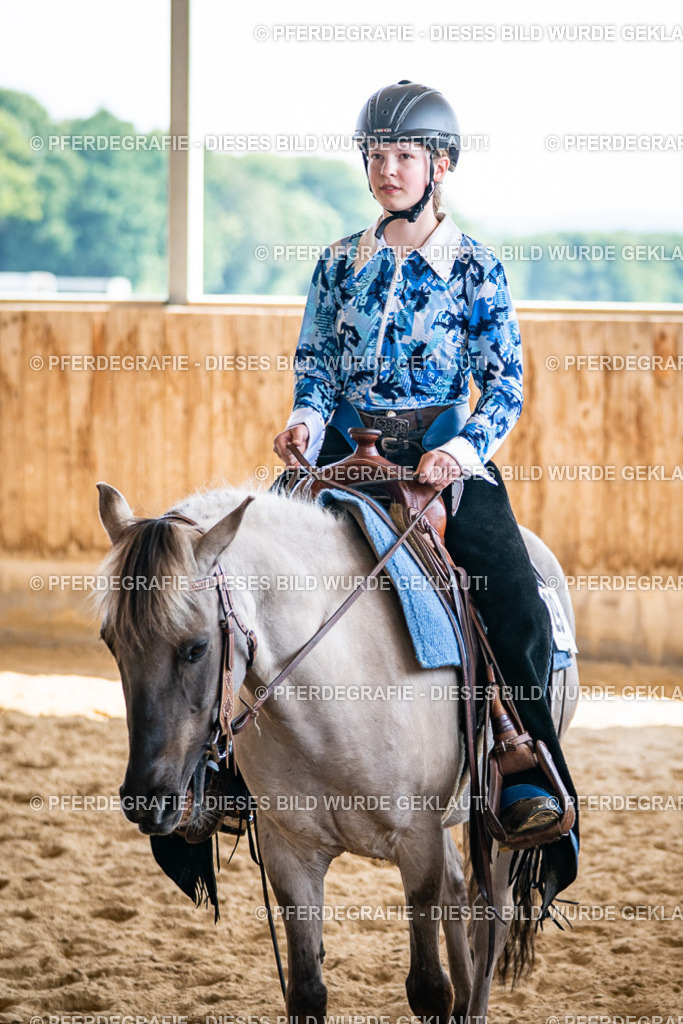 DSC09532 | Pferdegrafie