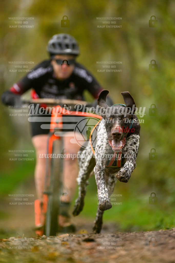 MompixPhotography_20TSB_E6_DS1-62 | PayLife