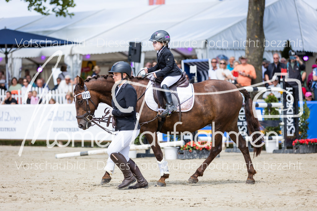 BHO-Führzügel1-013 | MomenTaufnahmen Pferdesportfotos