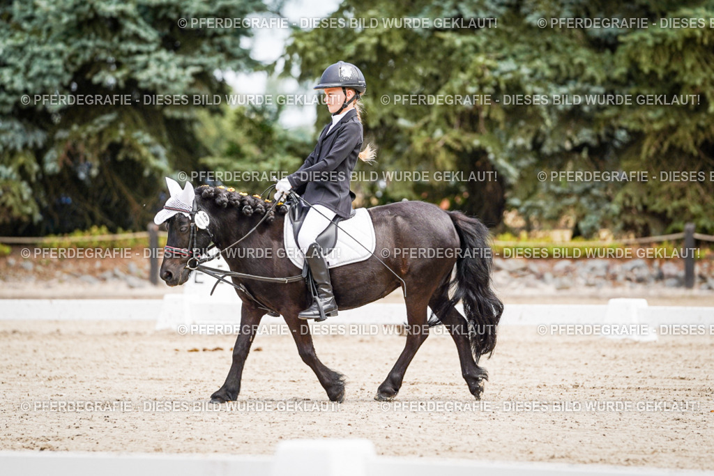 DSC02840 | Pferdegrafie