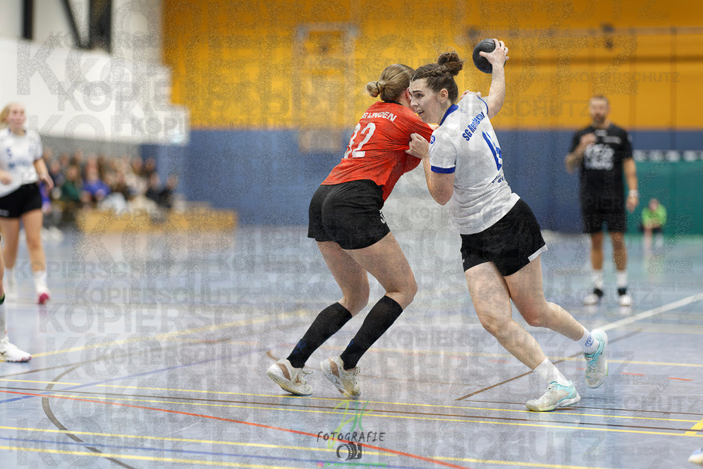 Frauen 2. Bezirksklasse; SG Rechtenbach - HSG Linden II | Frauen 2. Bezirksklasse; SG Rechtenbach - HSG Linden II am 16.11.2025 in Rechtenbach (Sporthalle Rechtenbach)Photo © 2025 - Jörg Heinrich - Realisiert mit Pictrs.com