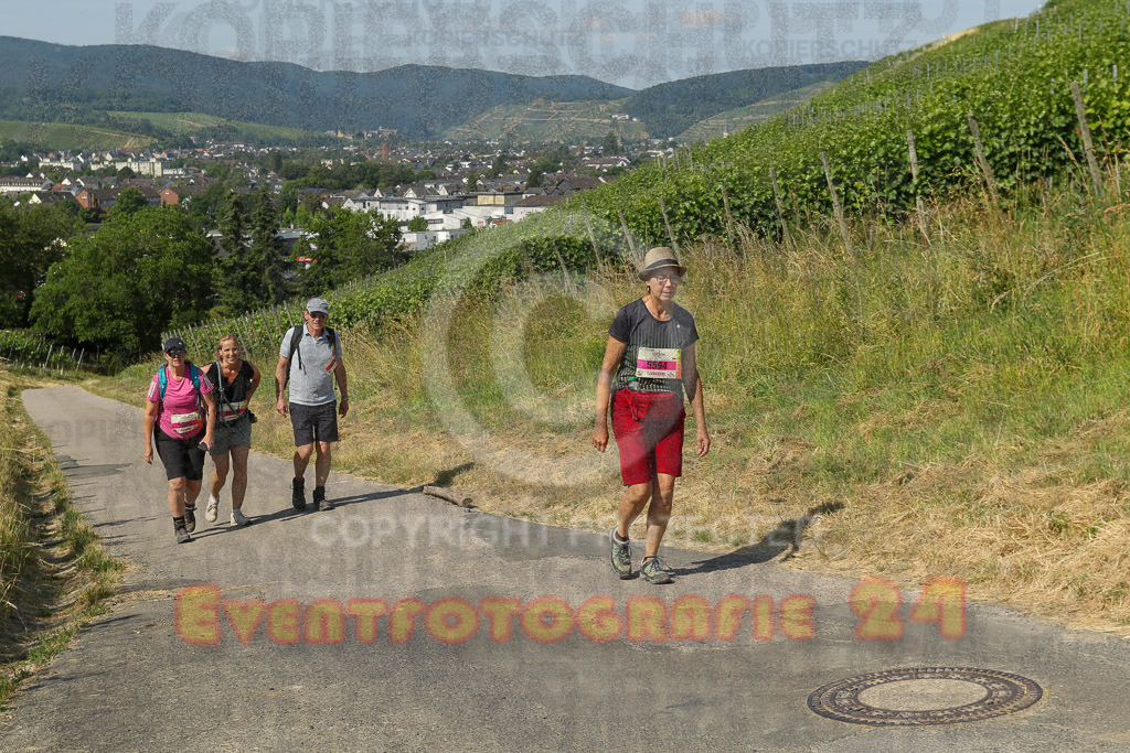 230617_1009_EV9_6817 | Sportfotografie im Rhein-Sieg Kreis, Köln, Bonn, NRW, Rheinland Pfalz, Hessen, etc. Unser Tätigkeitsfeld umfasst den Laufsport vom Volkslauf über den Marathon, Duathlon, Triathon bis zum Ultralauf wie Kölnpfad Ultra oder Schindertrail.