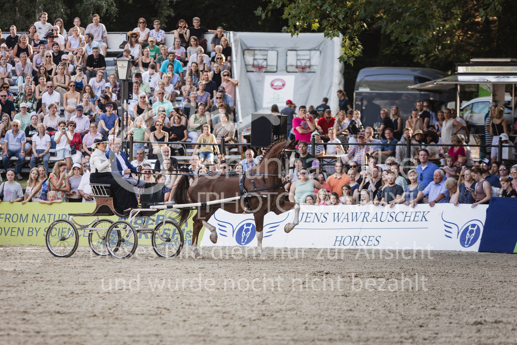 230910_OWLCh_GroßerPreis-692 | Deine schönsten Turniermomente als professionelle Fotos! Entdecke hochwertige Pferdesport-Fotografie im Online-Shop. Jetzt Fotos finden & bestellen!