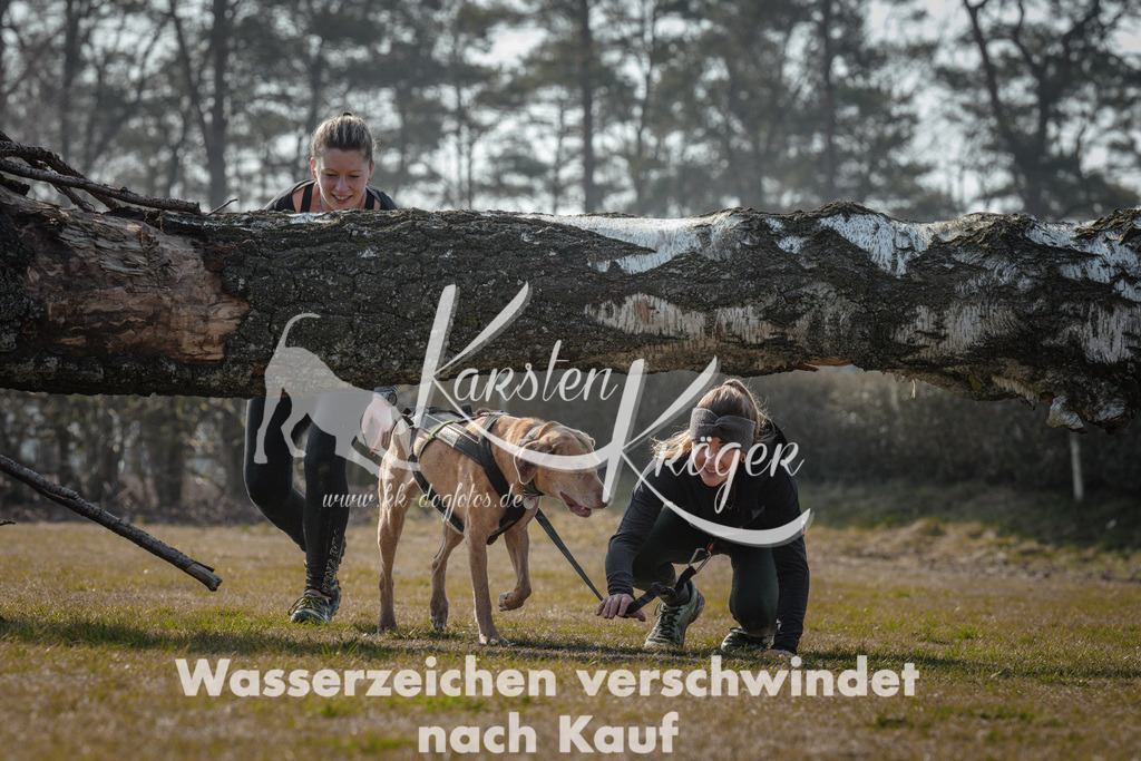 1106_ZZ94624 | kk-dogfotos