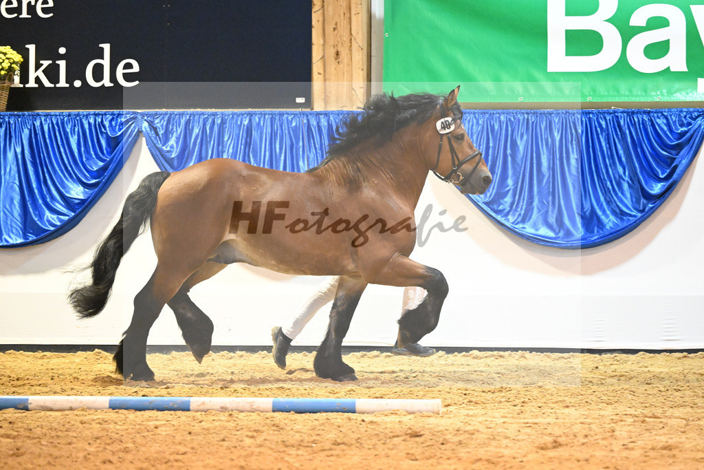 Kat-Nr. 40 Eulenspiegel_Fassbender_53221238 | hf-fotografie - Realizzato con Pictrs.com
