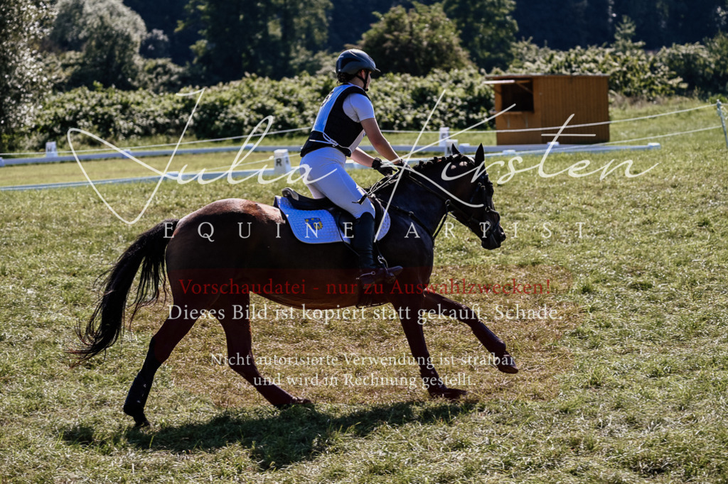 DSC_1530 | Pferde- und Turnierfotografie in Westsachsen. Pferdeportraits, Auftragszeichnungen und intuitive Kunst.