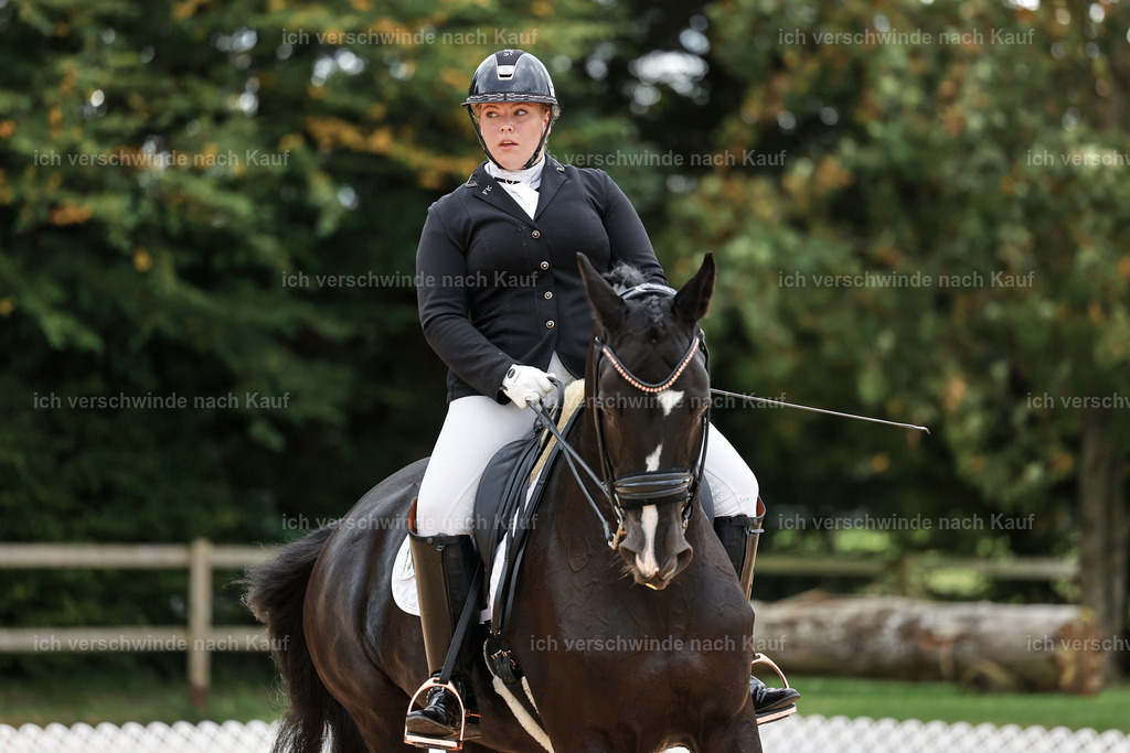 04_1-135-Dressur M__ -StoibPH-StoibPH-2675 | working equitationturnier fotograf videograf stoibphotography marixx film working equitation deutschland reitsport turnierfotografie eventfotografie equestrian events