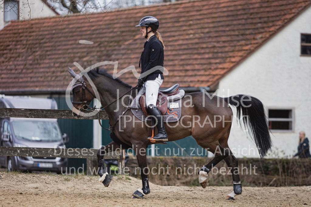 240316_Borgholzhausen_Impressionen-607 | Deine schönsten Turniermomente als professionelle Fotos! Entdecke hochwertige Pferdesport-Fotografie im Online-Shop. Jetzt Fotos finden & bestellen!