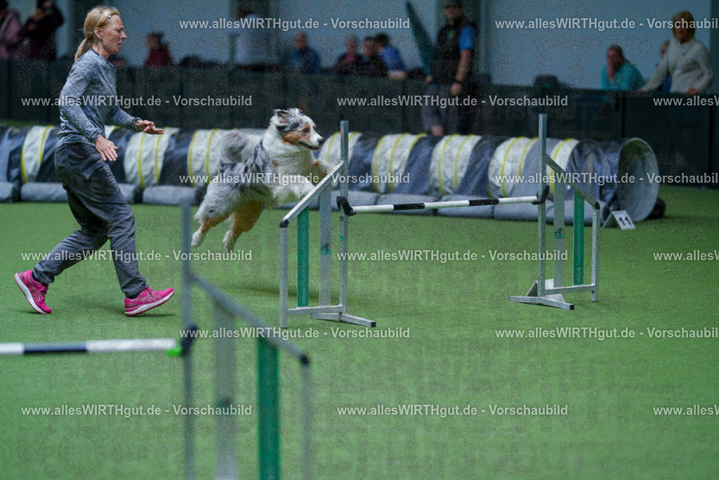 @allesWIRTHgut_Tierfotografie - www.allesWIRTHgut.de - 2604251047-7R500153 | Professionelle Tierfotografie in Mönchengladbach von Daniel Wirth (allesWIRTHgut). Liebevolle & natürliche Bilder von Hunden & Katzen für unvergessliche Erinnerungen.